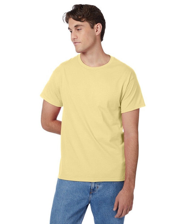 Hanes 5250T - Camiseta Authentic-T para hombre