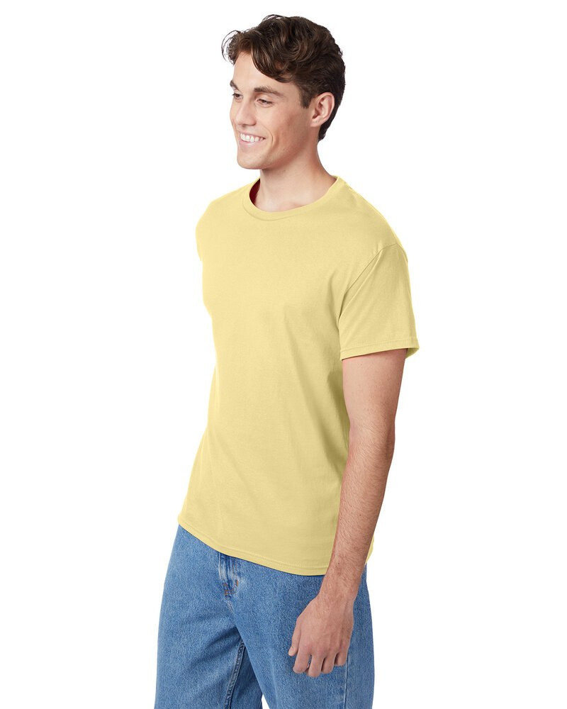 Hanes 5250T - Men's Authentic-T T-Shirt