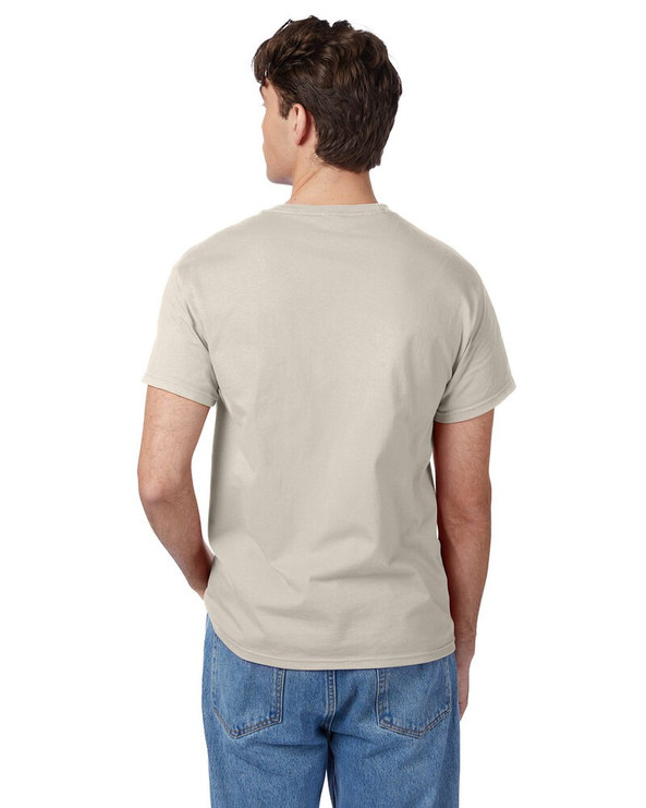Hanes 5250T - Men's Authentic-T T-Shirt