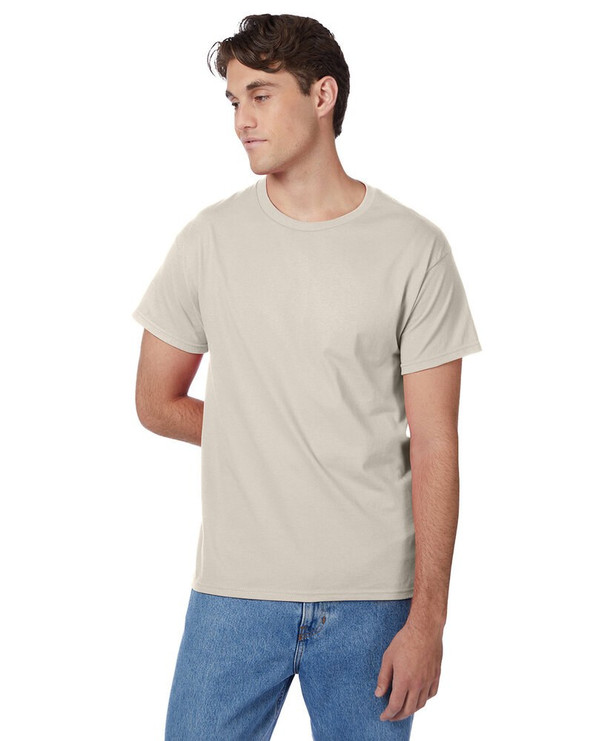 Hanes 5250T - Men's Authentic-T T-Shirt