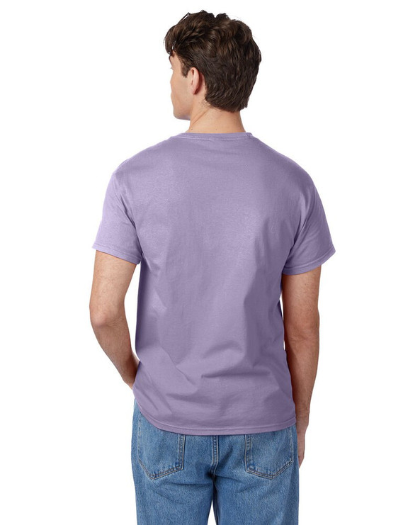 Hanes 5250T - Camiseta Authentic-T para hombre