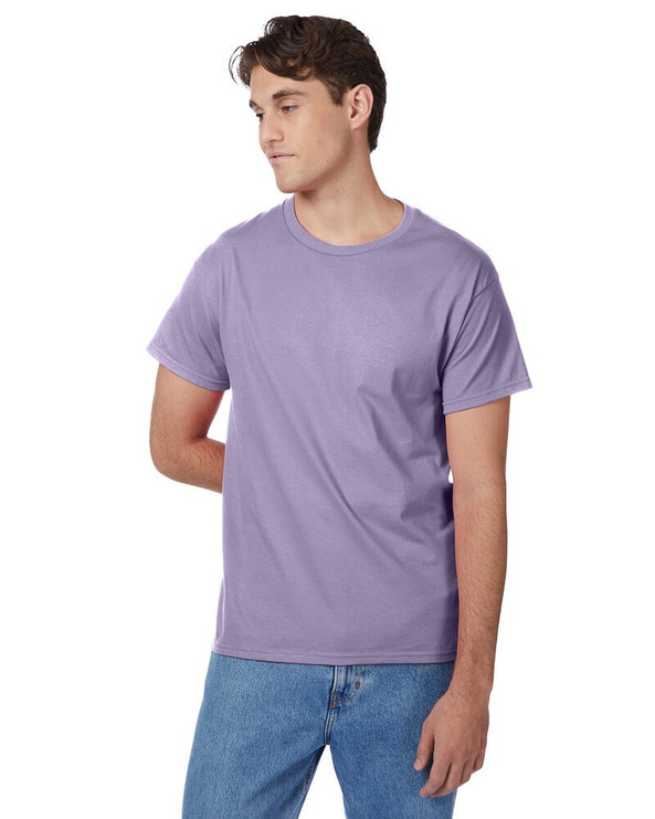 Hanes 5250T - Camiseta Authentic-T para hombre