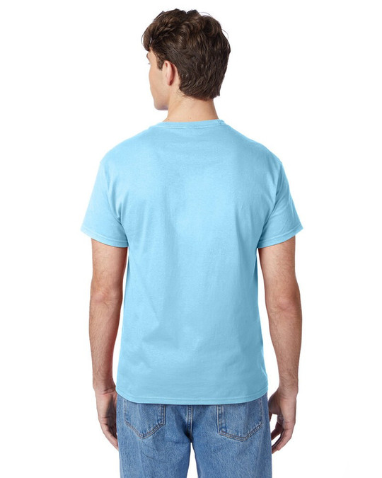 Hanes 5250T - Camiseta Authentic-T para hombre