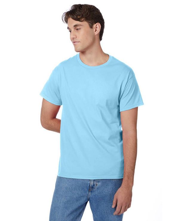Hanes 5250T - Camiseta Authentic-T para hombre