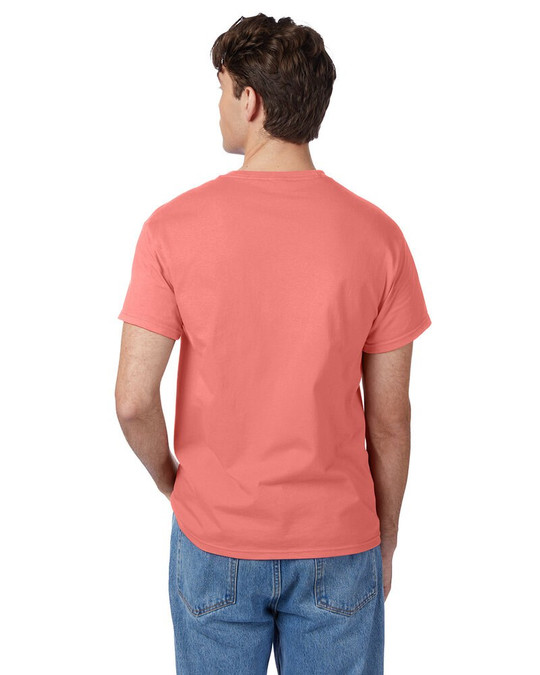 Hanes 5250T - Men's Authentic-T T-Shirt