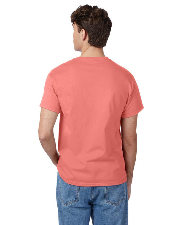 Hanes 5250T - Camiseta Authentic-T para hombre