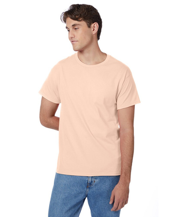 Hanes 5250T - Men's Authentic-T T-Shirt