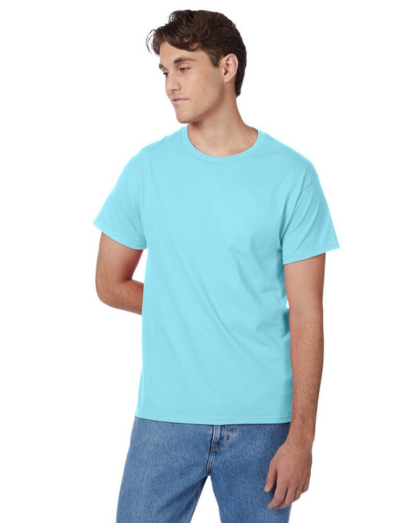 Hanes 5250T - Men's Authentic-T T-Shirt