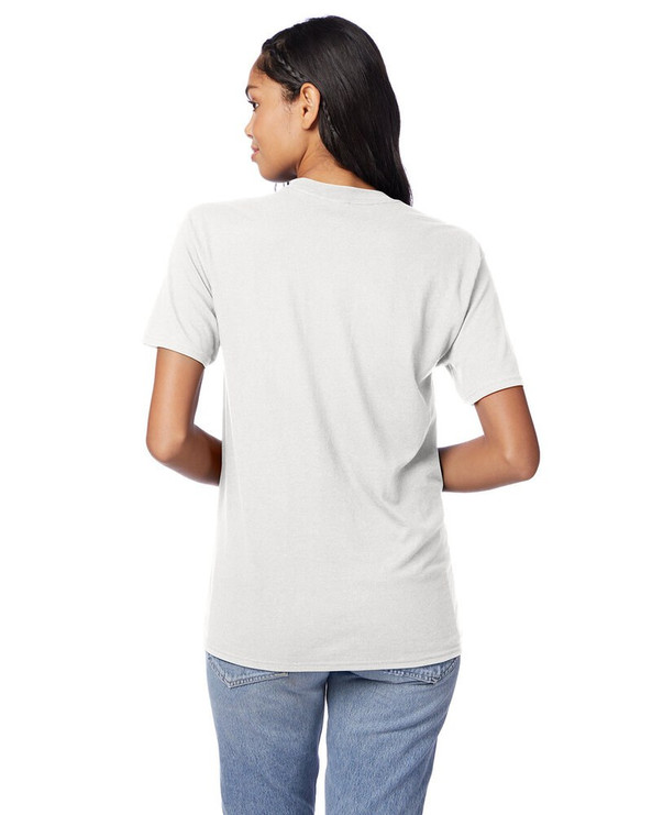 Hanes 42TB - Adult Perfect-T Triblend T-Shirt