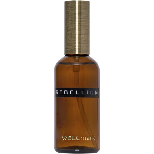 WELLmark 126407 - Wellmark odświeżacz powietrza o pojemności 100 ml