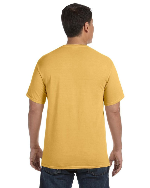 Comfort Colors C1717 - Adult Heavyweight T-Shirt