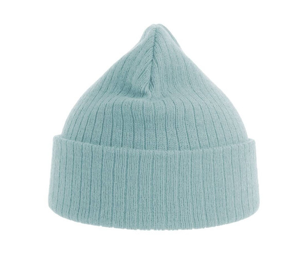 ATLANTIS AT208 - Bonnet en polyester recyclé