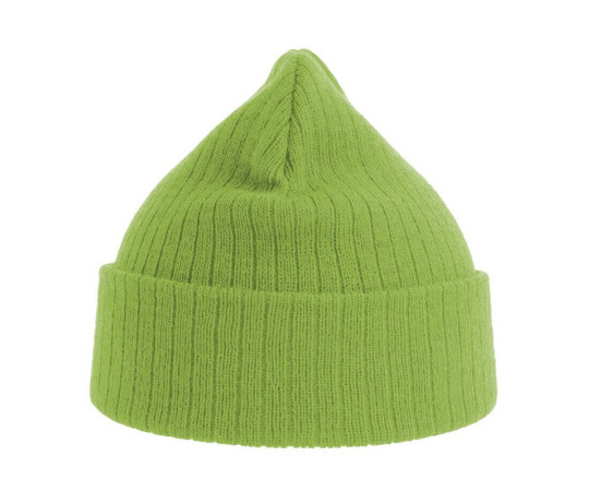 Atlantis AT208 - Recycled polyester beanie