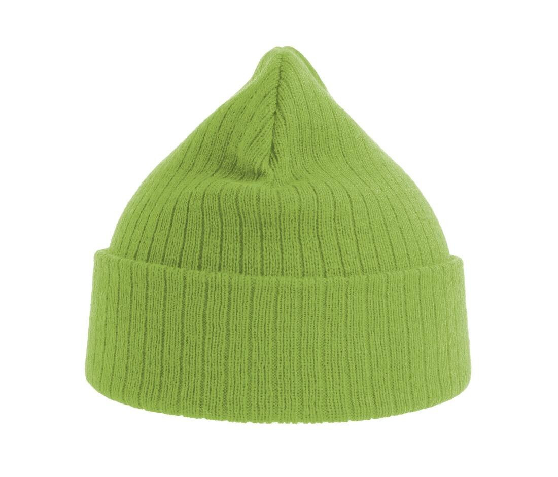 Atlantis AT208 - Recycled polyester beanie