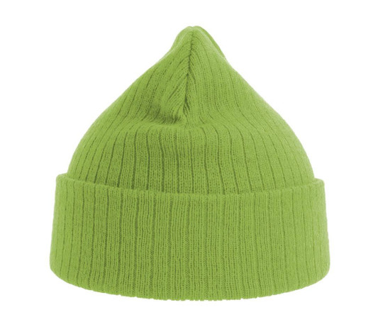 Atlantis AT208 - Recycled polyester beanie