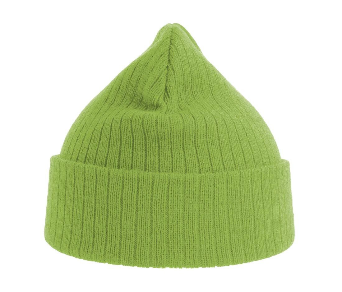 Atlantis AT208 - Recycled polyester beanie