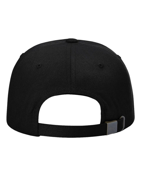 Richardson 254RE - Sustainable Ashland Dad Hat