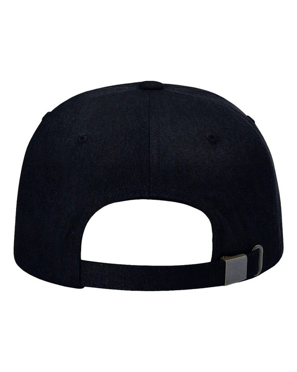 Richardson 254RE - Sustainable Ashland Dad Hat