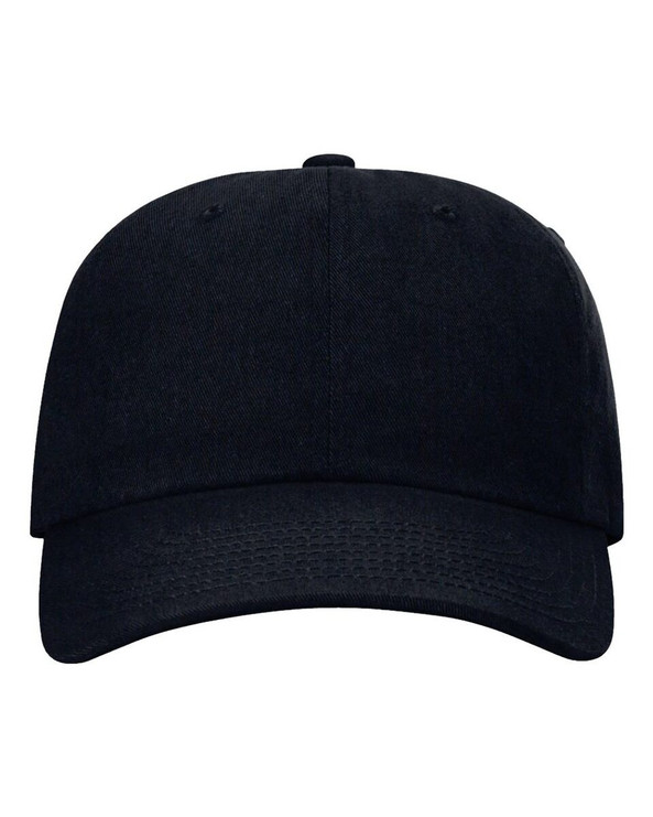 Richardson 254RE - Sustainable Ashland Dad Hat