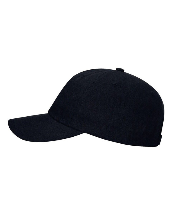 Richardson 254RE - Sustainable Ashland Dad Hat