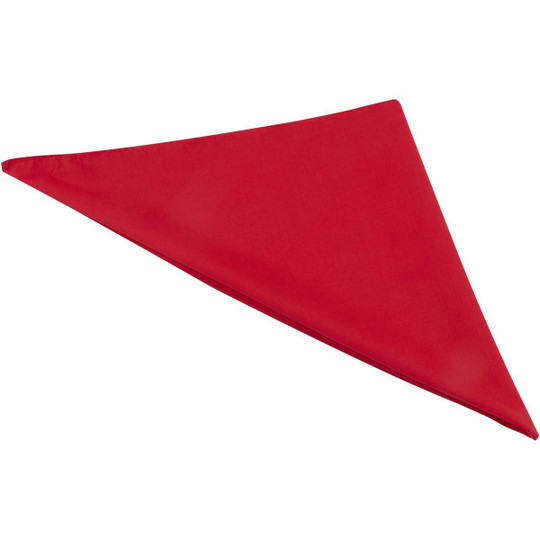 Heracles bandana - EgotierPro 38341