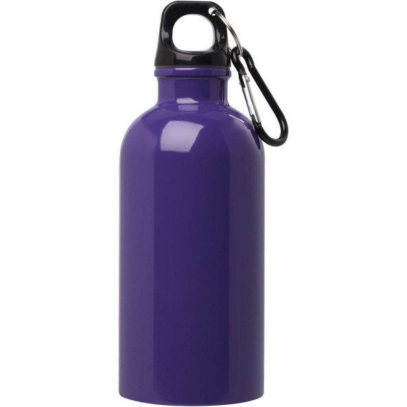 Oregon 400 ml RCS-zertifizierte, einwandige Trinkflasche aus Edelstahl mit Karabinerhaken - EgotierPro 100860