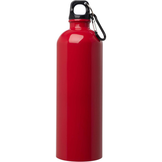 Oregon 750 ml RCS-zertifizierte, einwandige Trinkflasche aus Edelstahl mit Karabinerhaken - EgotierPro 100861