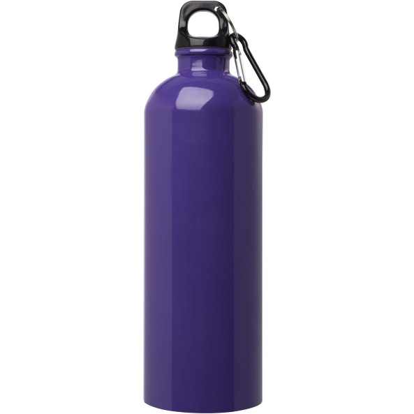 Oregon 750 ml RCS-zertifizierte, einwandige Trinkflasche aus Edelstahl mit Karabinerhaken - EgotierPro 100861