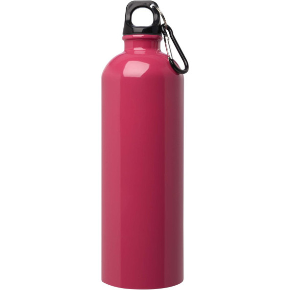Oregon 750 ml RCS certified single wall stainless steel water bottle with carabiner - EgotierPro 100861