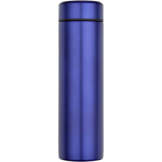Taylor 450 ml dubbelwandige roestvrijstalen fles met theefilter - EgotierPro 100826