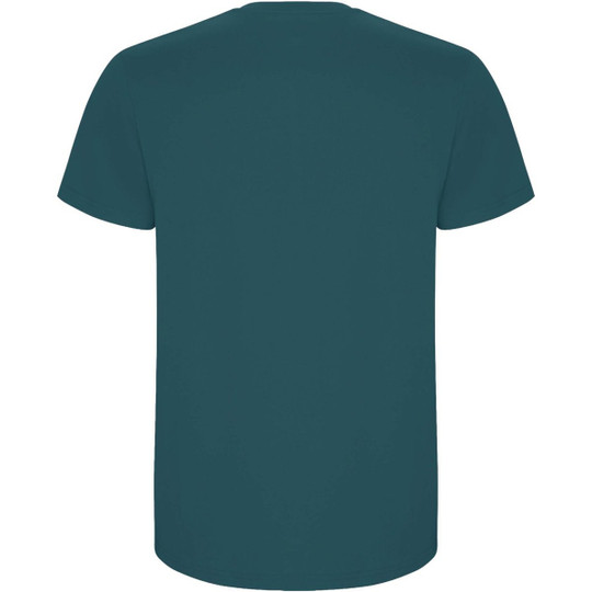 Roly R6681 - Stafford kortærmet t-shirt til mænd