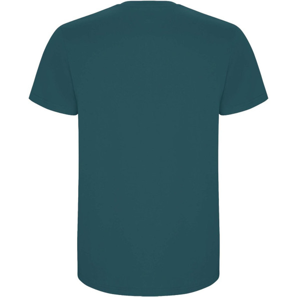 Roly R6681 - Stafford kortærmet t-shirt til mænd