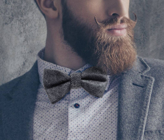 KARLOWSKY KYAK9 - Noeud papillon stylé avec motif à chevrons Herringbone