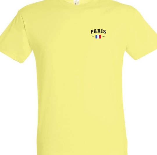 Needen 11380-CLPR-F - Paris Design T-Shirt