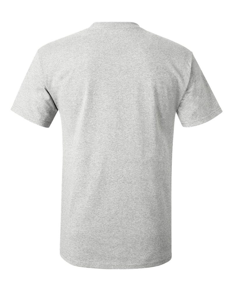 Hanes 5250 - Tagless® T-Shirt