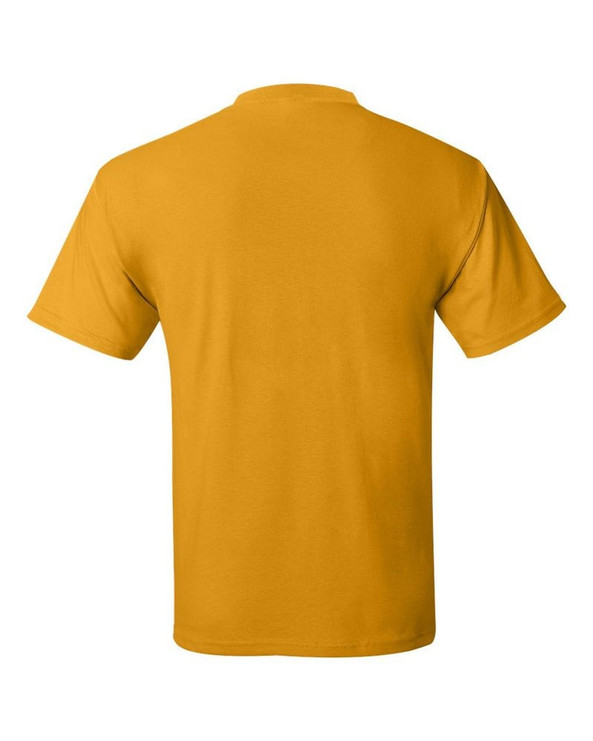 Hanes 5170 - ComfortBlend® EcoSmart® T-Shirt