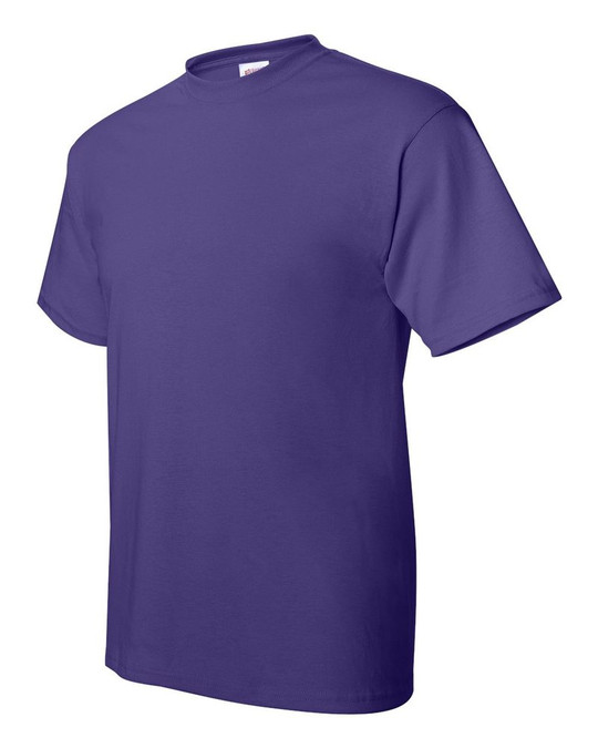 Hanes 5170 - Camiseta ComfortBlend® EcoSmart®