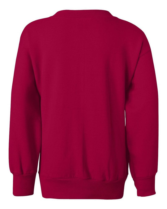 Hanes P360 - Sudadera para Jóvenes EcoSmart®