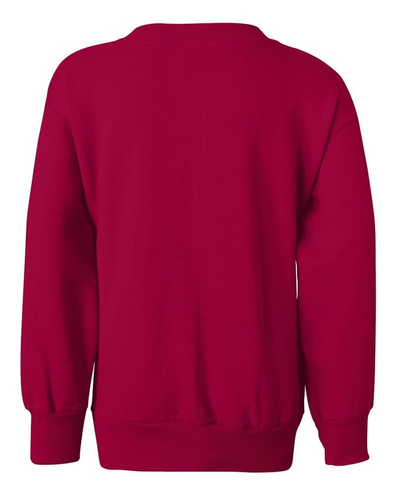 Hanes P360 - EcoSmart® Youth Sweatshirt