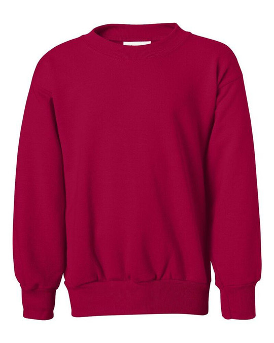 Hanes P360 - Sudadera para Jóvenes EcoSmart®
