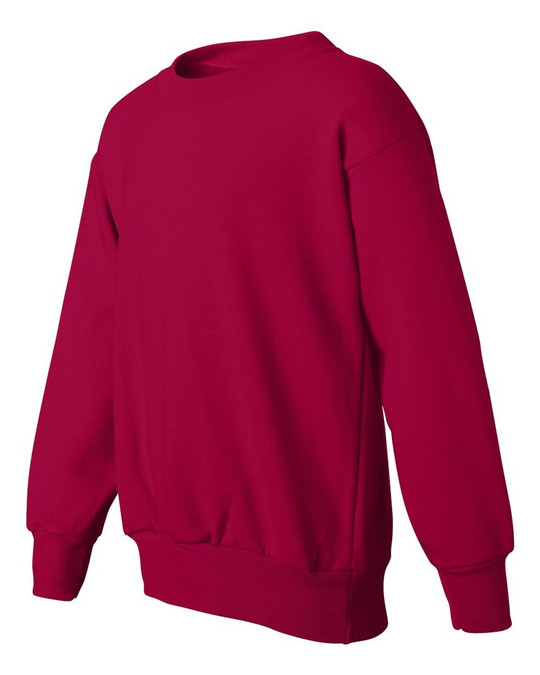 Hanes P360 - Sudadera para Jóvenes EcoSmart®