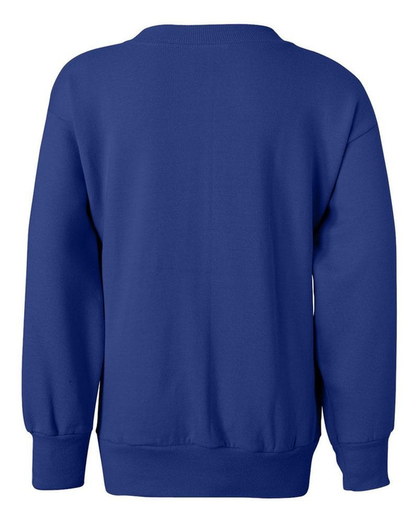 Hanes P360 - EcoSmart® Youth Sweatshirt