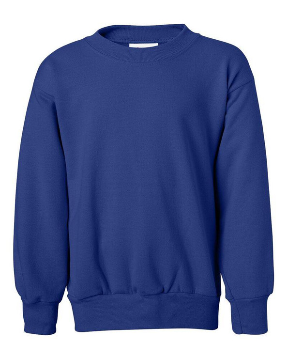 Hanes P360 - EcoSmart® Youth Sweatshirt
