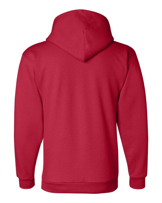 Champion S700 - Sweat à capuche écologique