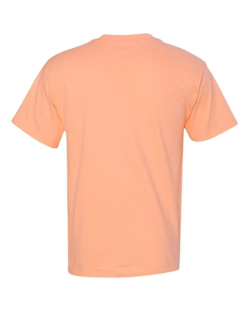 Hanes 5250 - Camiseta Tagless®
