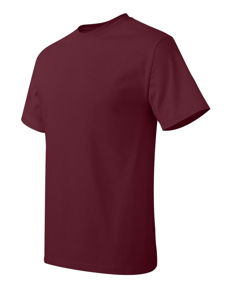 Hanes 5250 - Camiseta Tagless®