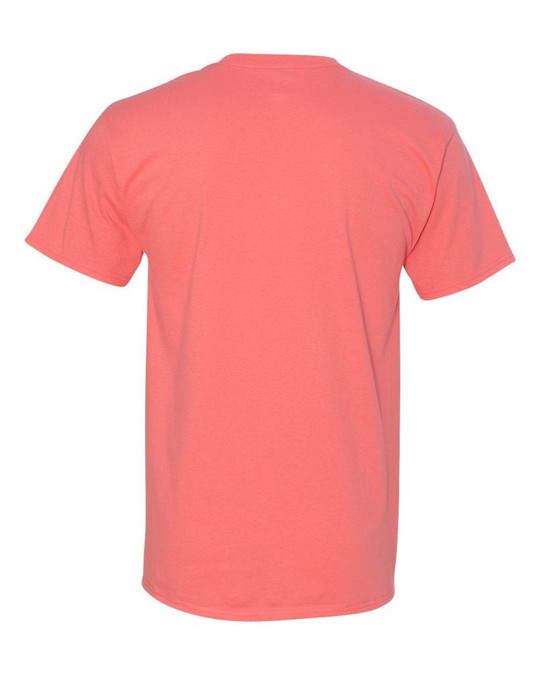 Hanes 5250 - Tagless® T-Shirt