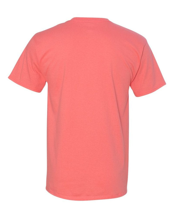 Hanes 5250 - Tagless® T-Shirt