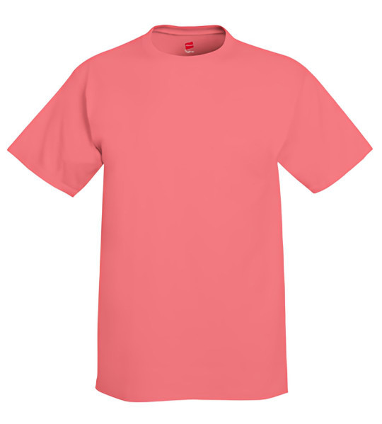 Hanes 5250 - Tagless® T-Shirt