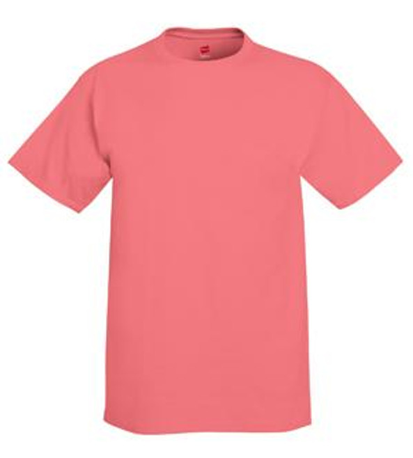 Hanes 5250 - Tagless® T-Shirt